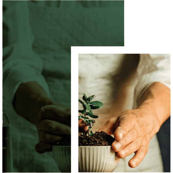 image-about